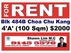 choa-chu-kang-avenue-5 photo thumbnail #4